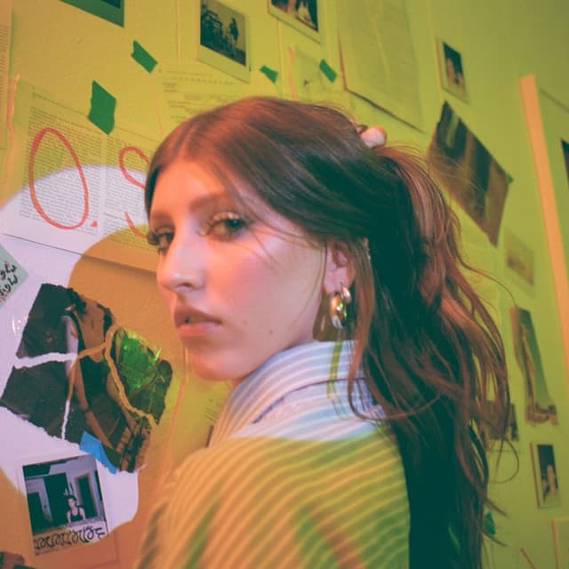 Lindsey Lomis's artist profile image