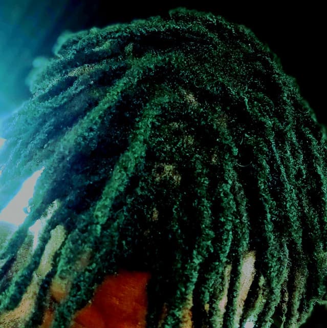 King Rawlings artist profile image