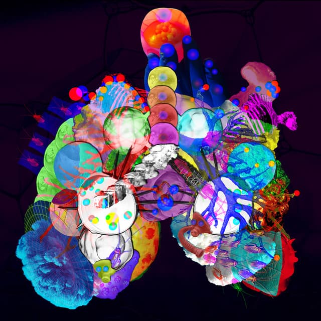 Giraffes? Giraffes! artist profile image
