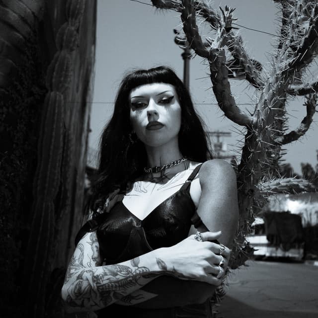 Harpy artist profile image