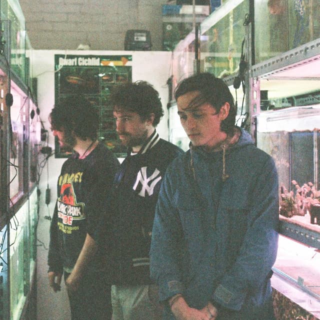 I'lls artist profile image