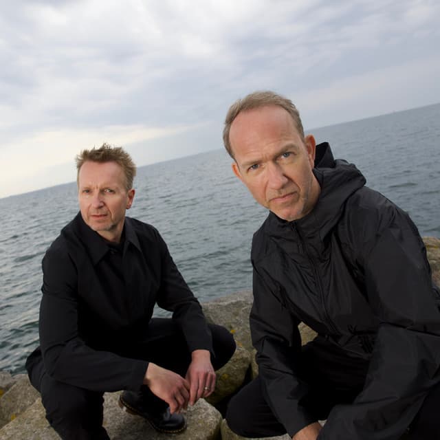 Safri Duo artist profile image