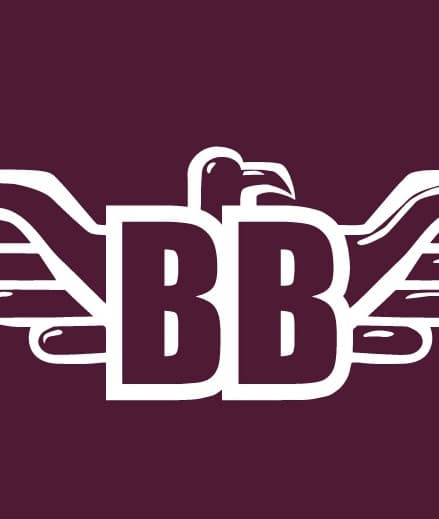 Bit Brigade's artist profile image