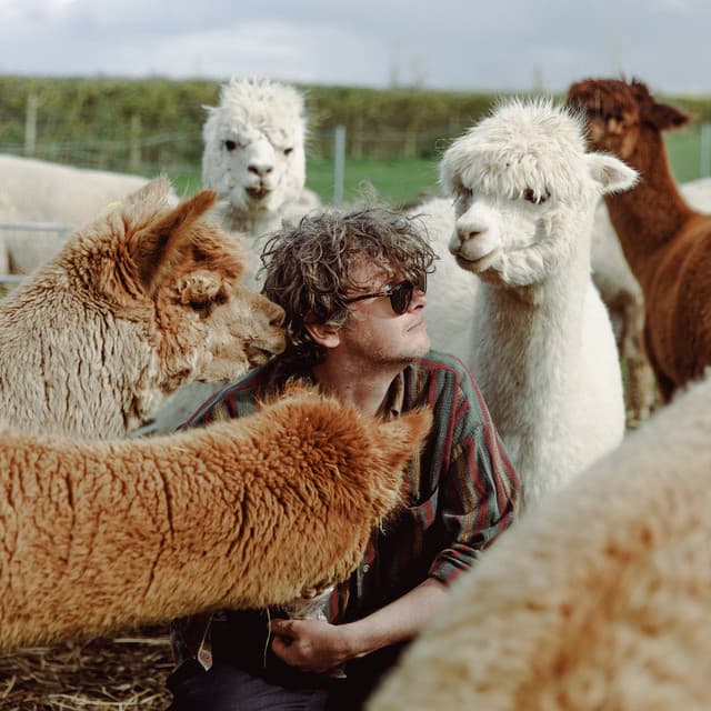 Bill Ryder-Jones's artist profile image