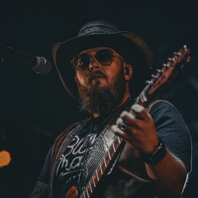 The Steel Woods's artist profile image