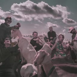 Sea Power's artist profile image