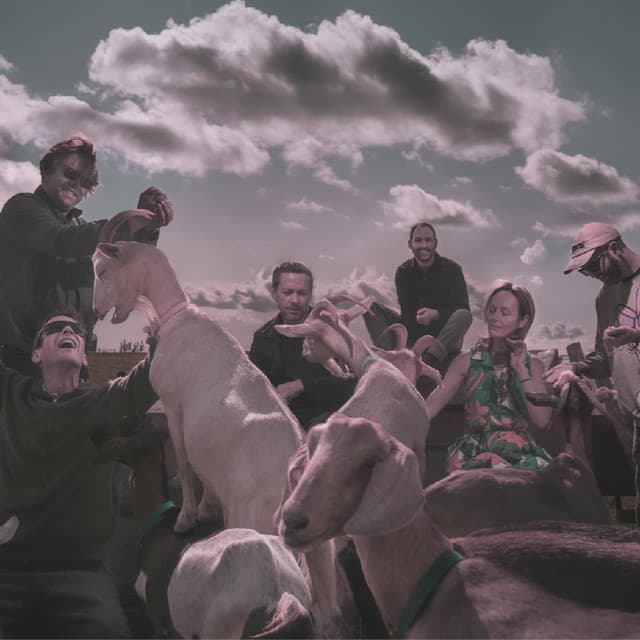 Sea Power artist profile image