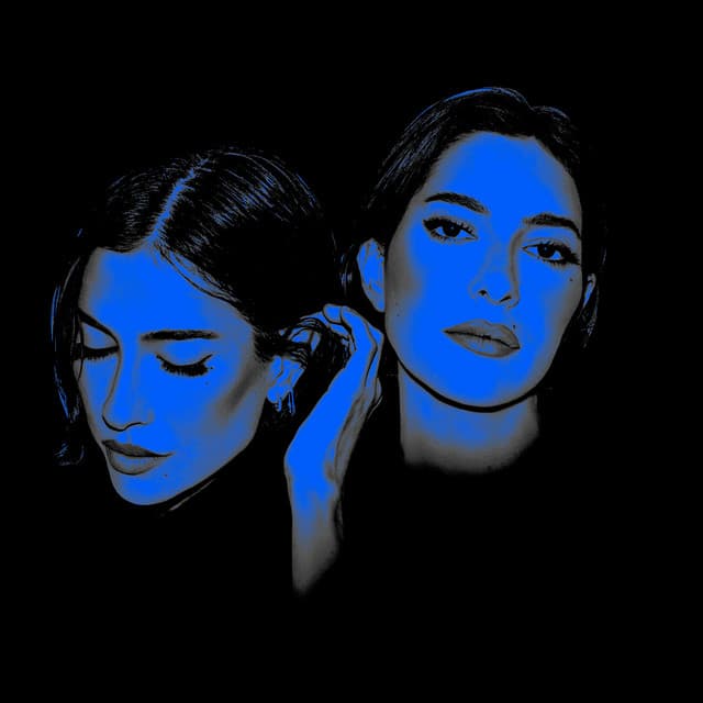 The Veronicas's artist profile image