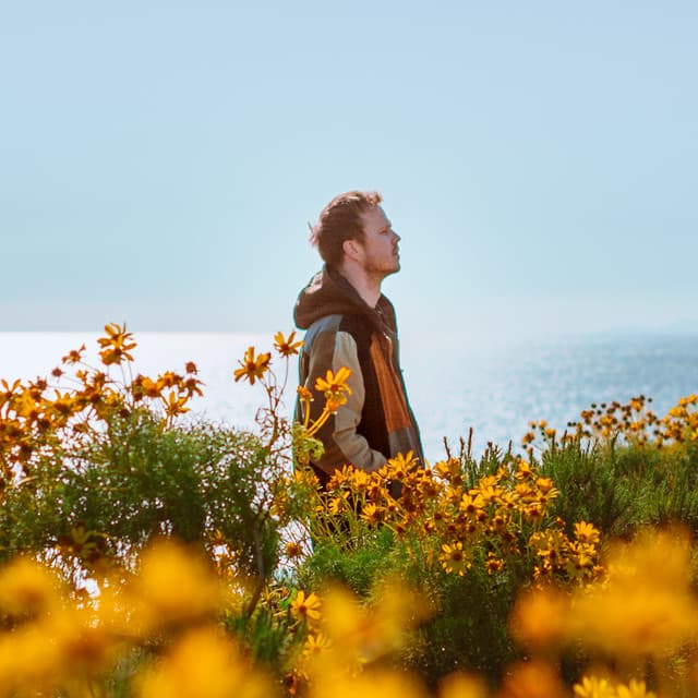 Daktyl artist profile image