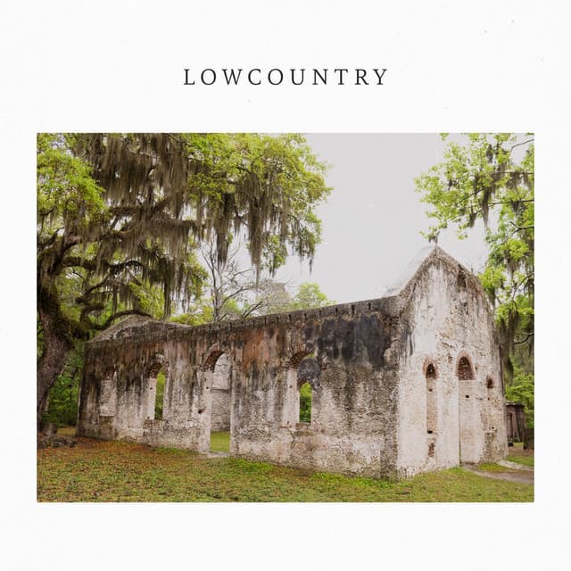 Lowcountry artist profile image