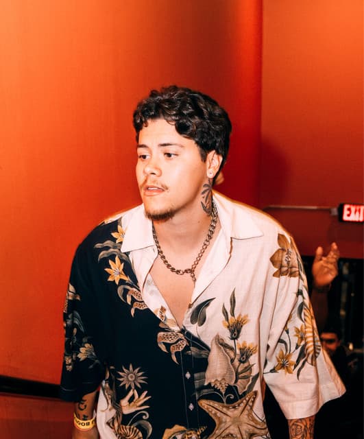 Pedroz artist profile