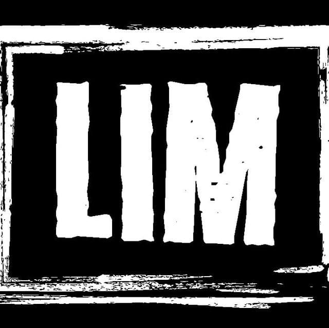 Lost In Majority artist profile image