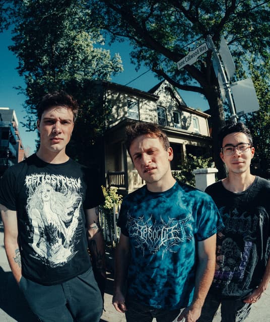 Silly Goose artist profile image