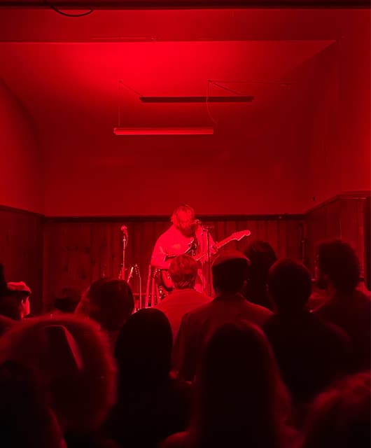 Elvis Depressedly artist profile image