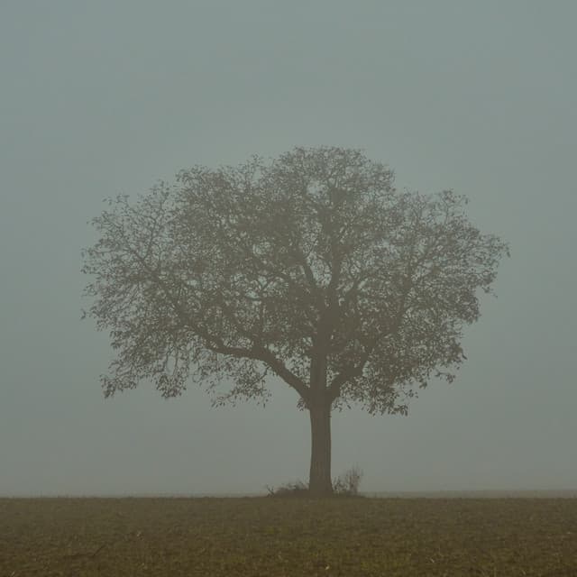 Christopher Jackson artist profile image