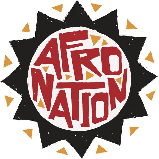 Afro Nation artist profile image