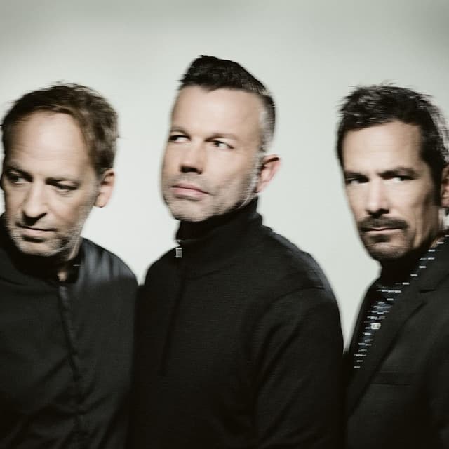 Camouflage artist profile image