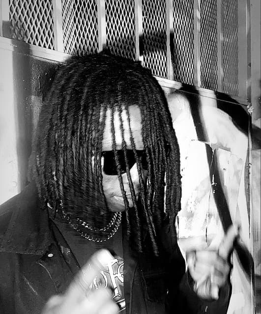 Gully Rebel artist profile image