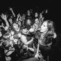 Apes of the State's artist profile image