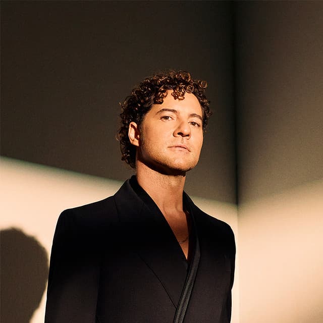 David Bisbal artist profile