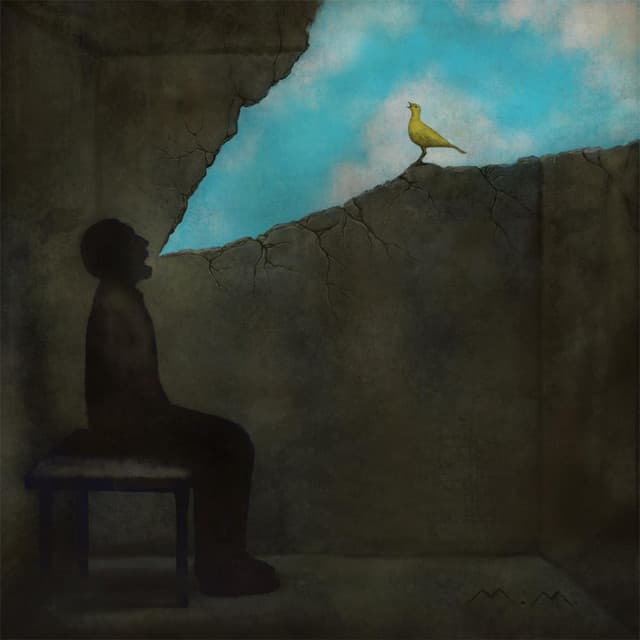 The Prison Music Project artist profile image