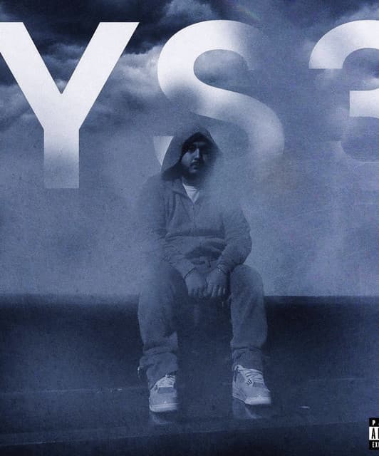 YS3 artist profile image