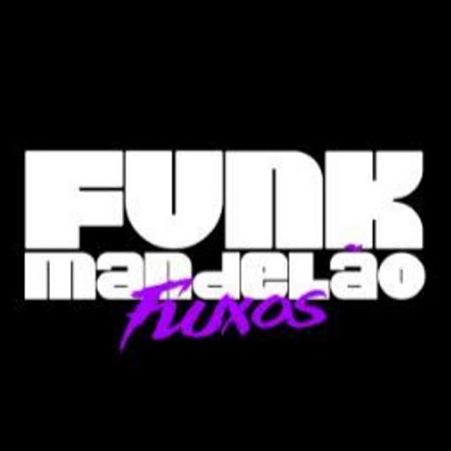Funk Mandelão Fluxos artist profile image