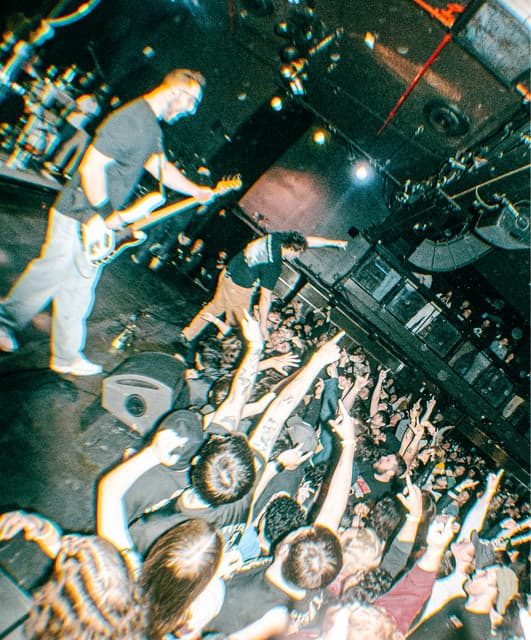 Koyo artist profile image