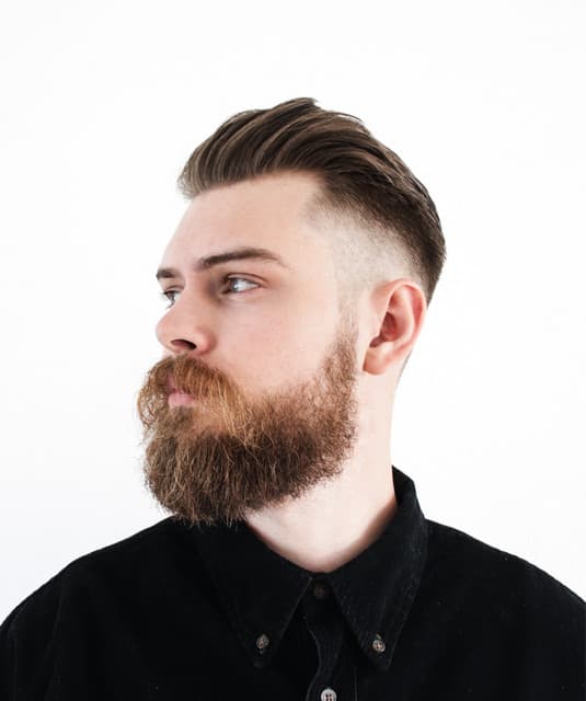 Rogue artist profile image