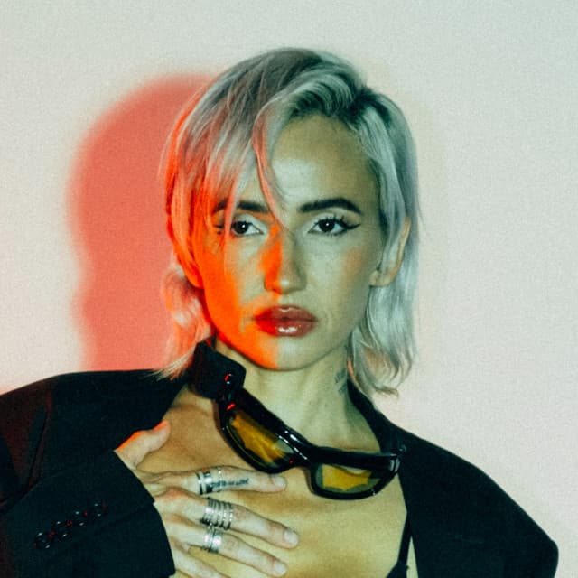 Lights artist profile image