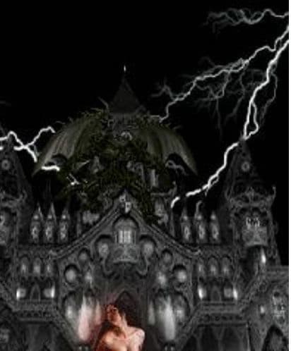 mol$ archive artist profile image
