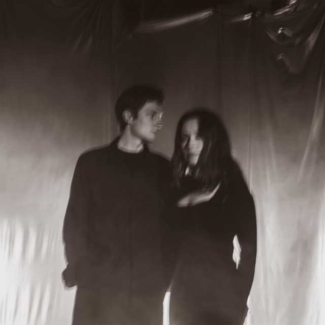 White Flowers artist profile image