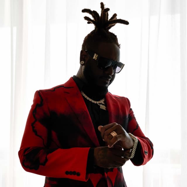 T-Pain's artist profile image
