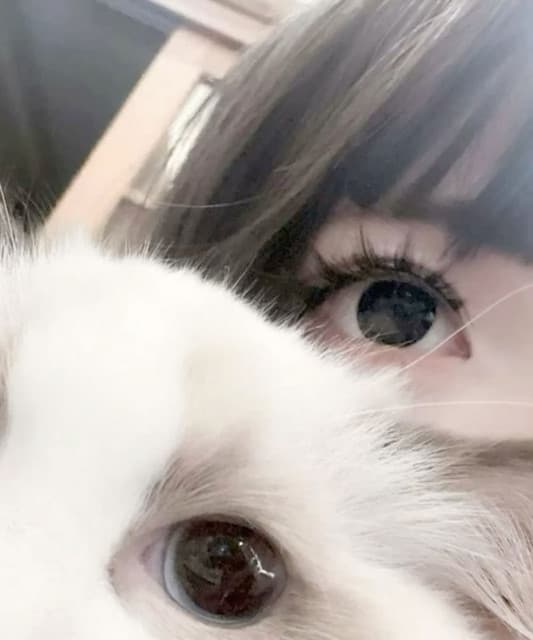 IMIS! artist profile image