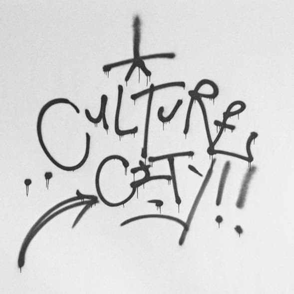 Culture Abuse profile