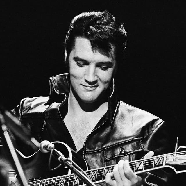 Elvis Presley artist profile image