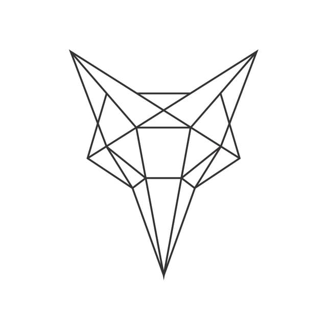 Shapeshifter artist profile image