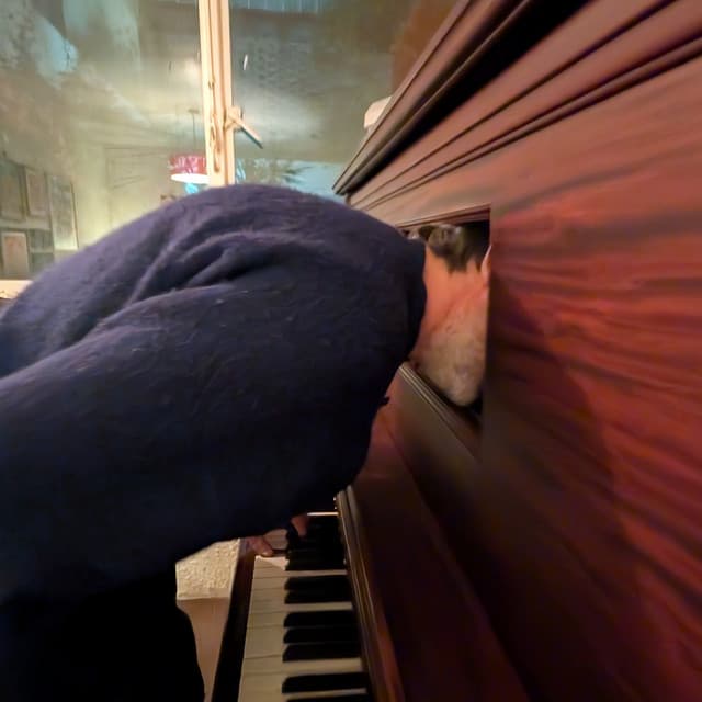 Patrick Watson's artist profile image