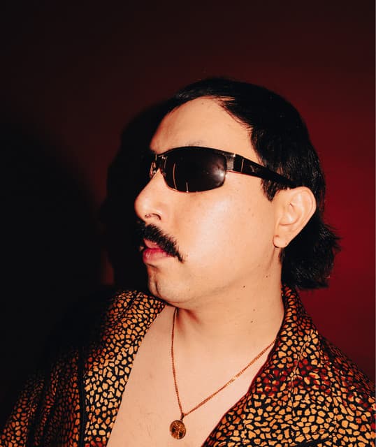 NO BILLS artist profile image