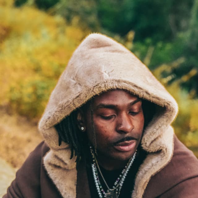 sosocamo artist profile image