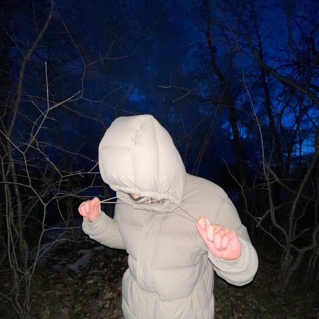 shonci artist profile image