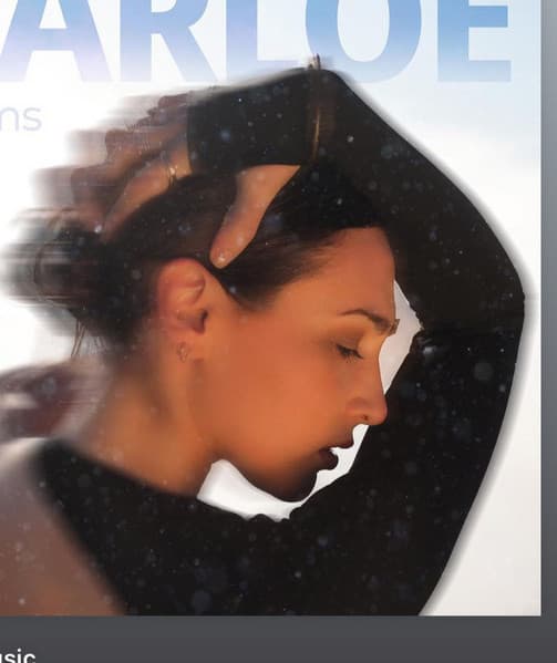 HARLOE artist profile image