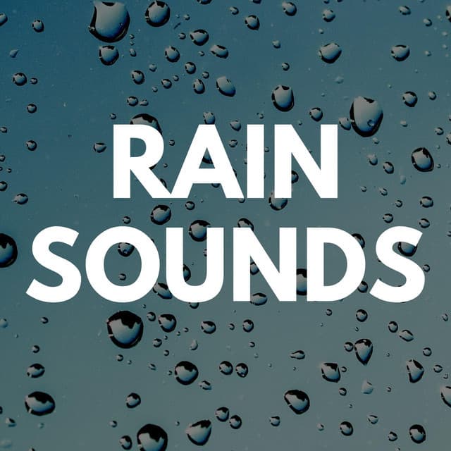 Rain Radiance artist profile image