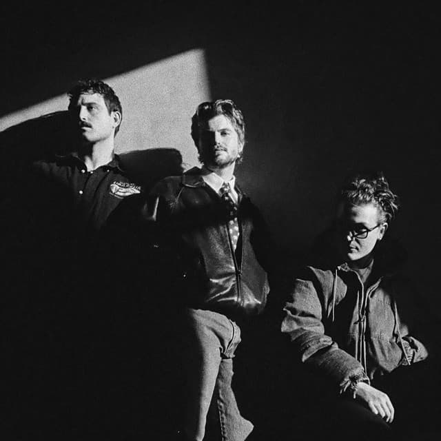 The Wldlfe artist profile image