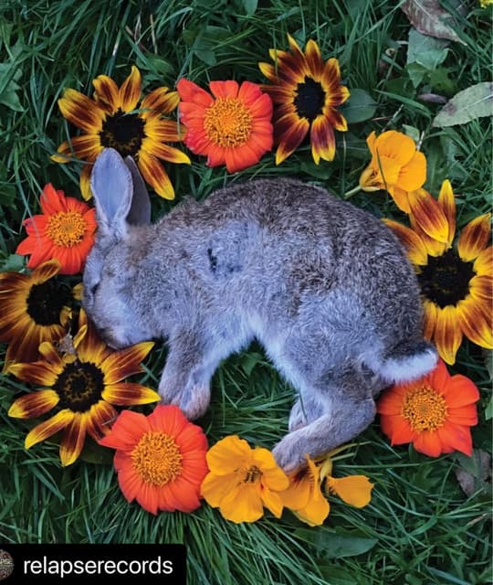 Monolord artist profile image