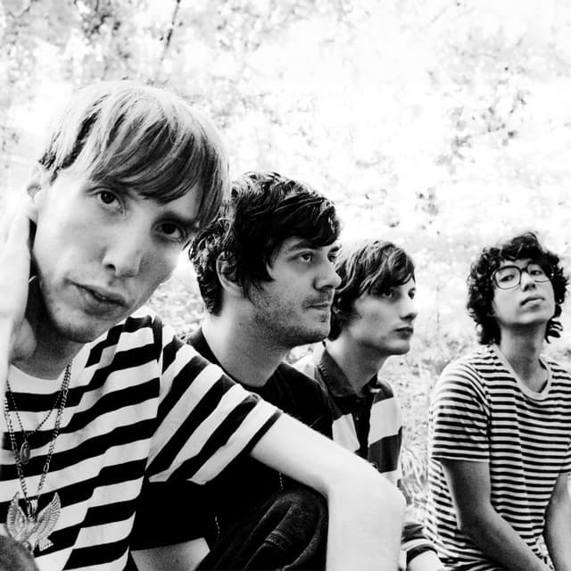 Deerhunter profile