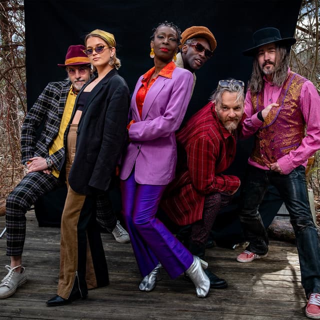 Brooklyn Funk Essentials artist profile image
