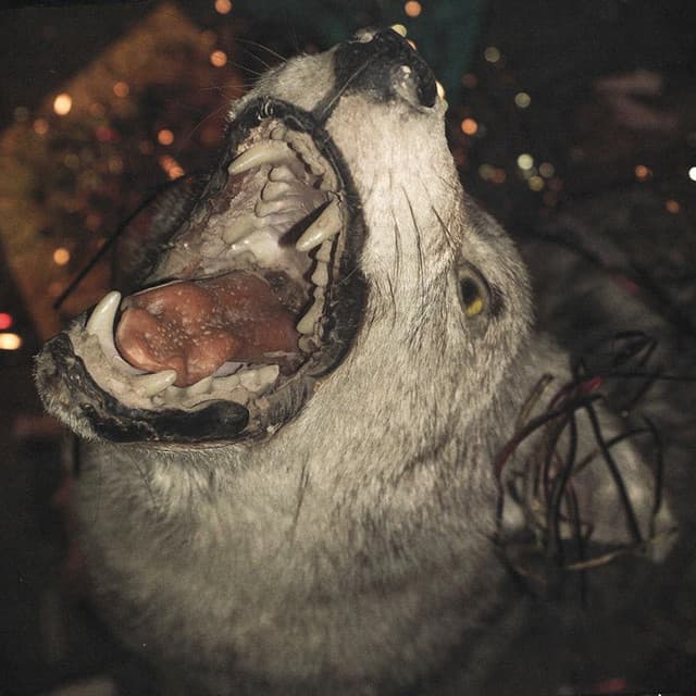 Jared & The Mill artist profile image