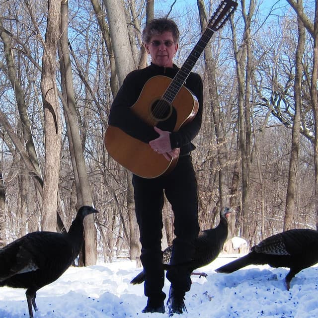 Steve Tibbetts artist profile image