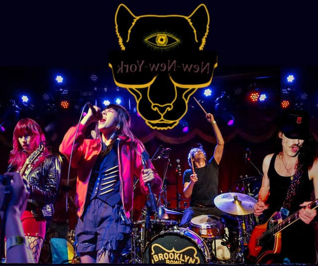 Puzzled Panther's artist profile image